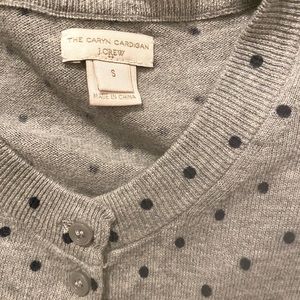 Caryn Cardigan J Crew